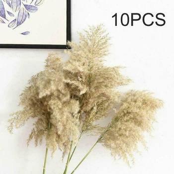 10pcs Posušen Cvet Šopek Za DIY Umetno svate, Dekoracijo Naravnih Big Reed Travo Kup Pampe Rastlin
