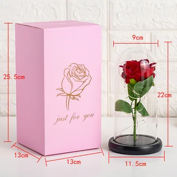 Romantični Simulacije Rose LED Luči z Ohranjenimi Stekleni Pokrov, Plastični Znanja Ustvarjalno Darilo Dekoracijo za Valentinovo