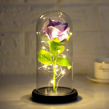 Romantični Simulacije Rose LED Luči z Ohranjenimi Stekleni Pokrov, Plastični Znanja Ustvarjalno Darilo Dekoracijo za Valentinovo
