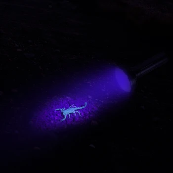 COBA led UV svetilko ribolov baklo blacklight 128 žarnice uporabite 6*baterije AA nepremočljiva Ujeti scorpion Denar detektor luč