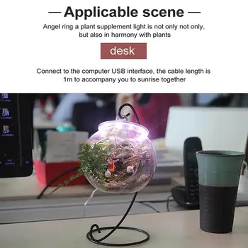LED Grow Light Celoten Spekter Ffs Rastejo Lučka USB Phytolamp 5V Razsvetljave Za uporabo v Zaprtih prostorih Za Rastline Rastline Rastline, Rast Lučka J5W3