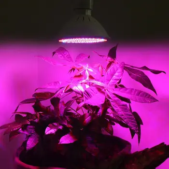 Hydroponics E27 LED 220V Vrt Toplogrednih Cvet Rastline Rastejo Sejanje Svetloba Svetilke Žarnice Za Flower Show Družino Balkon Sejanje