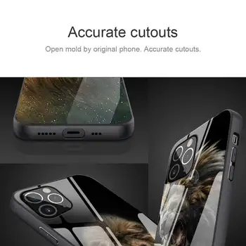 Za iPhone 11 12 Max Pro Mini XR XS X 8 7 6 6S Plus SE 2020 Primeru Živali Lev, Kaljeno Steklo, Okvir Soft Hrbtni Pokrovček Coque Fundas