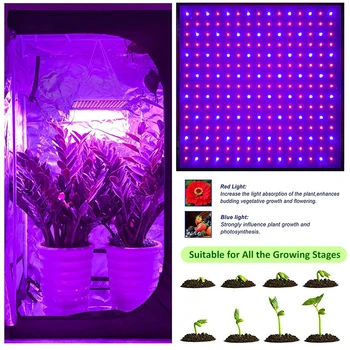 LED Grow Light Plošči Notranji Rastejo Šotor Ffs Lučka Za Rastline Hydroponics Rastline, Zelenjava, Cvetje Lučka za Gojenje Soba Polje Fitolampy