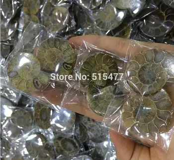 1 KG (2.2 LB) Naravne Mavrica Split Ammonite Fosilnih Prerežite na Pol Madagaskar zdravljenja. Pari ,Wholesales Cene, Brezplačna Dostava