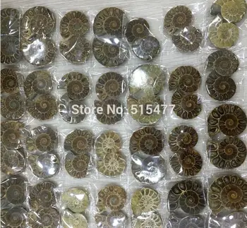 1 KG (2.2 LB) Naravne Mavrica Split Ammonite Fosilnih Prerežite na Pol Madagaskar zdravljenja. Pari ,Wholesales Cene, Brezplačna Dostava