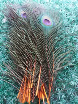 Debelo 50pcs/veliko 25~30 cm obarvana in vijolično Naravnih Pav Perje za prodajo okrasna peresa