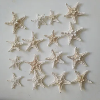 HappyKiss20Pcs/set Sea Star naravnih Star Ribe Živali Shell Beach Ornament Poroke Stranka DIY Doma Dekoracijo Obrti 3-4 cm